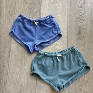 American Apparel Terry Collection Blue and Teal Shorts